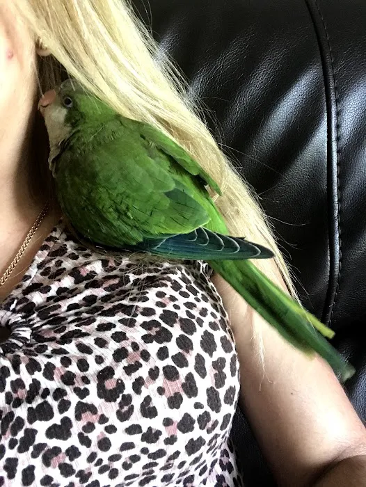 Bird Little Friend Pet Shop Picture 9