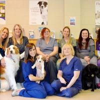 Laurelton Veterinary Hospital ico