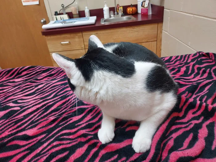 Laurelton Veterinary Hospital Picture 3