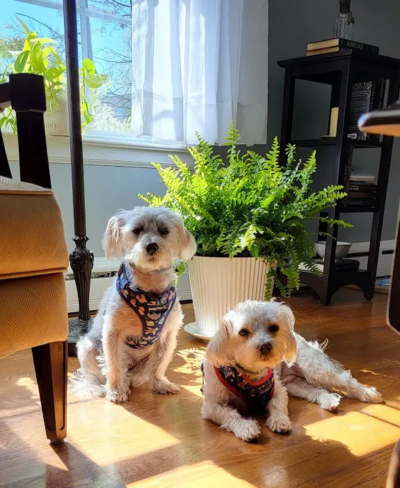 Laurelton Veterinary Hospital Picture 6