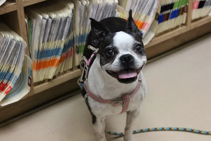 Laurelton Veterinary Hospital Picture 2