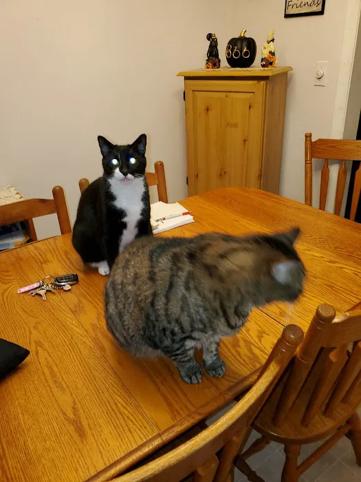 Laurelton Veterinary Hospital Picture 10