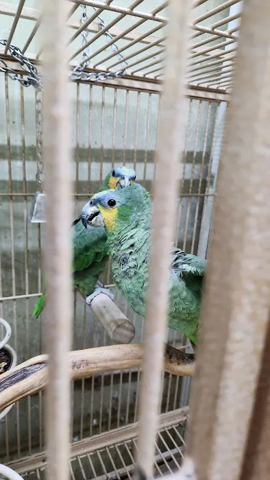 El Gallo Rojo Pet Shop Picture 9