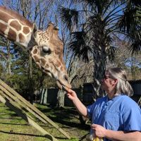 Nautilus Avian & Exotics Veterinary Specialists ico