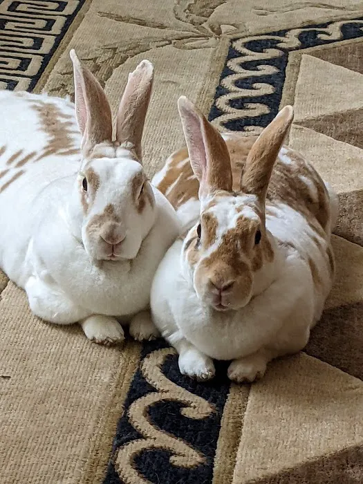 Nautilus Avian & Exotics Veterinary Specialists Picture 8