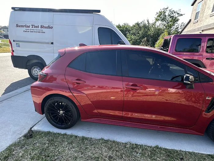 Liles Tropical Fish Picture 1