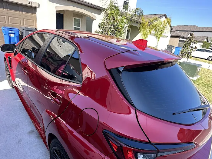 Liles Tropical Fish Picture 2