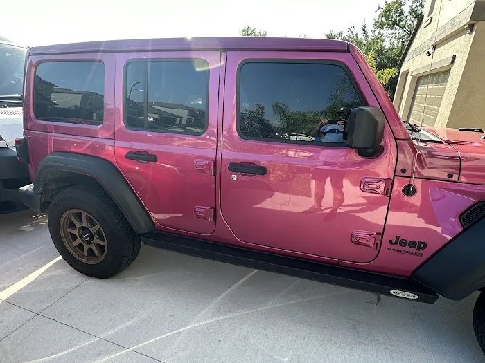 Liles Tropical Fish Picture 6