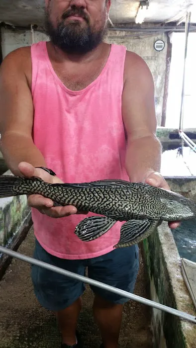 Liles Tropical Fish Picture 4