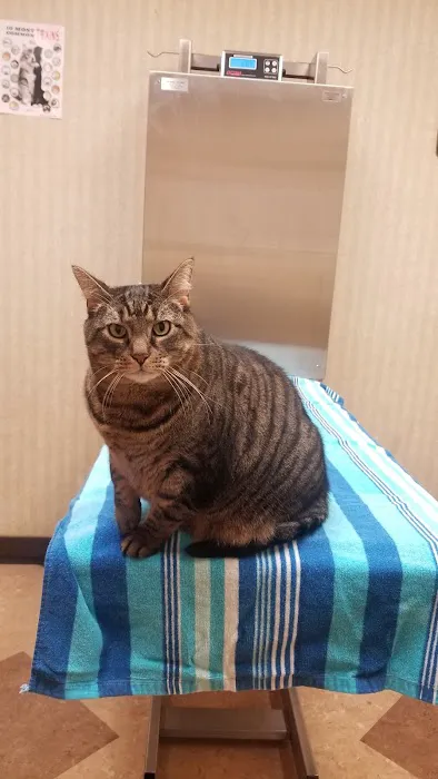 Brick Town Veterinary Hospital Picture 10