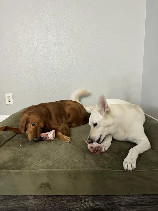 Dogs Gone Roar LLC Picture 1