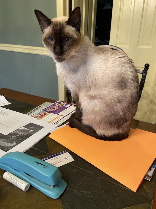 Dr. Debra A Fiorito, DVM Picture 1