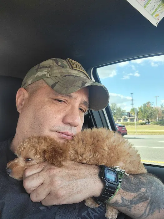 The Sweet Life of a Toy Poodle Picture 4