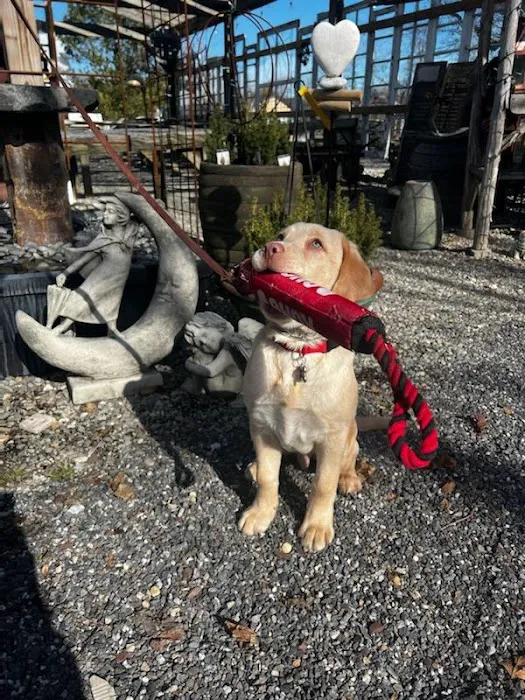 Squan Animal Hospital Picture 5