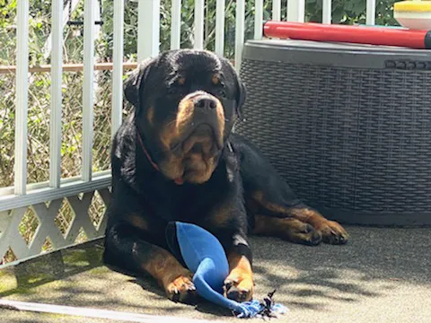 Squan Animal Hospital Picture 6