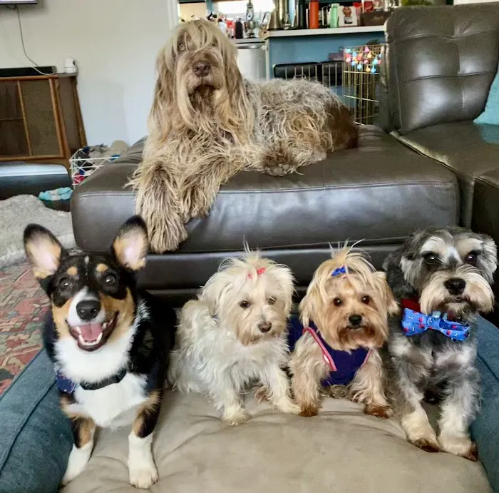 Squan Animal Hospital Picture 8