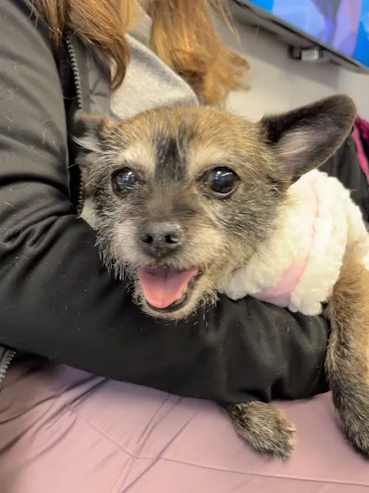 Squan Animal Hospital Picture 1