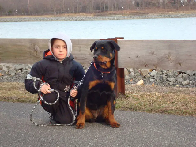 Squan Animal Hospital Picture 3