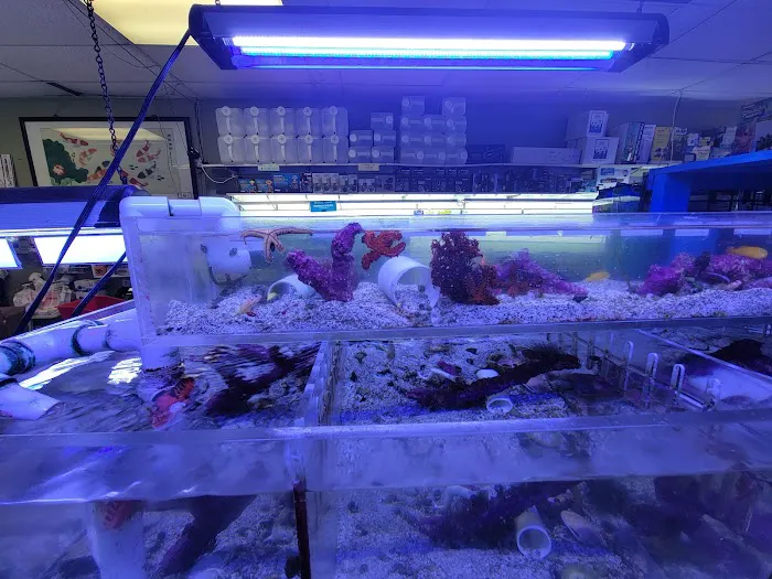 Coral Reef Aquariums Picture 4