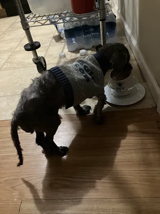 Banfield Pet Hospital Picture 1