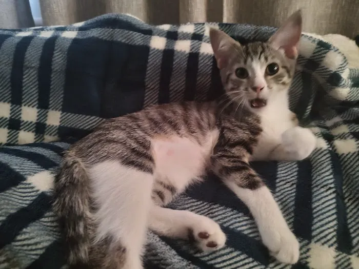 Banfield Pet Hospital Picture 6