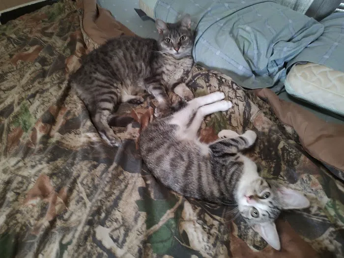 Banfield Pet Hospital Picture 4