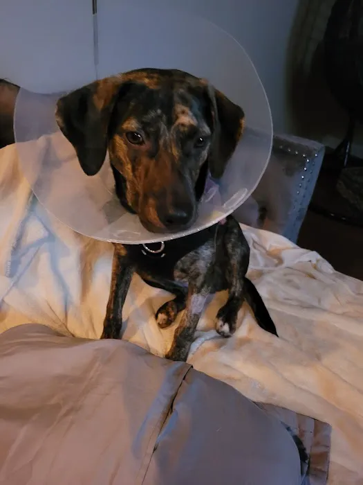 Banfield Pet Hospital Picture 7