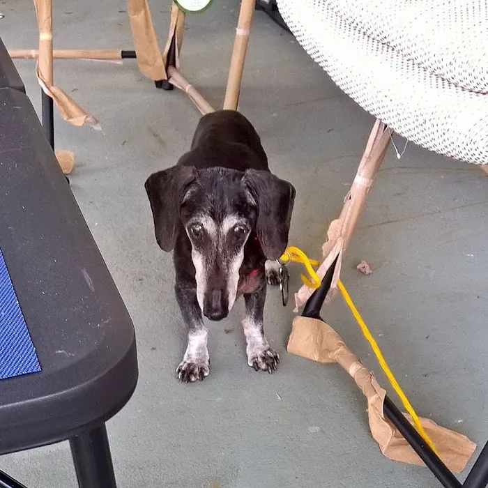 Banfield Pet Hospital Picture 5