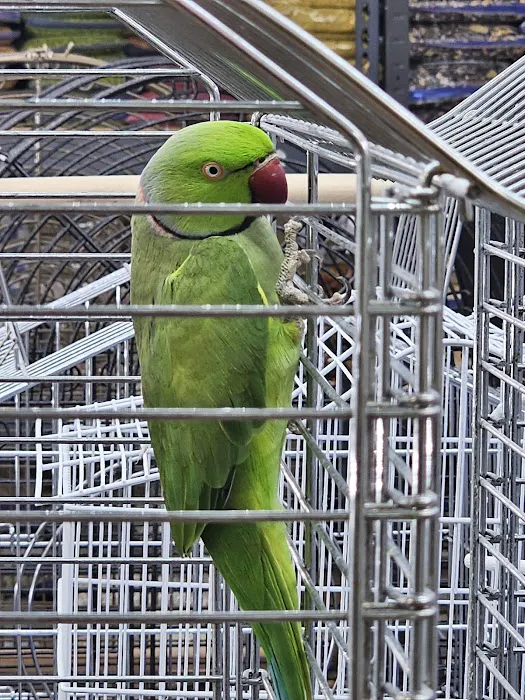 Zuri Palomas Pet Shop Picture 3