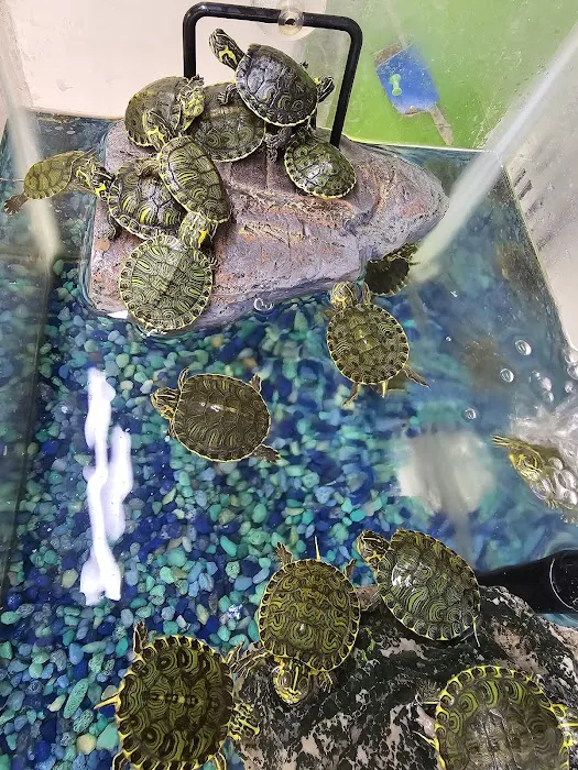 Zuri Palomas Pet Shop Picture 5