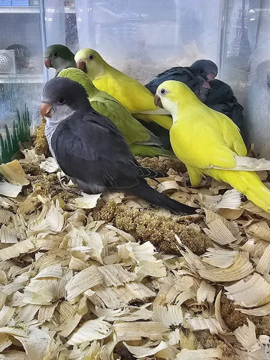 Zuri Palomas Pet Shop Picture 6
