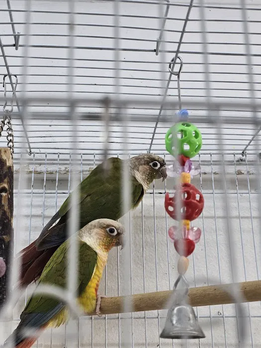 Zuri Palomas Pet Shop Picture 8