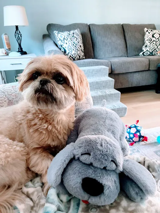 NorthStar VETS Picture 1