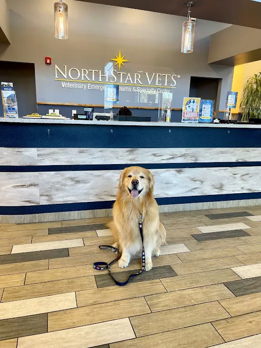 NorthStar VETS Picture 10