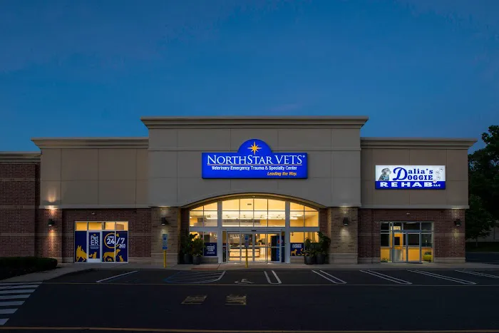 NorthStar VETS Picture 7