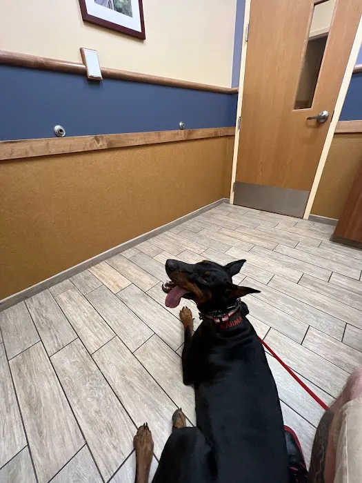 NorthStar VETS Picture 4