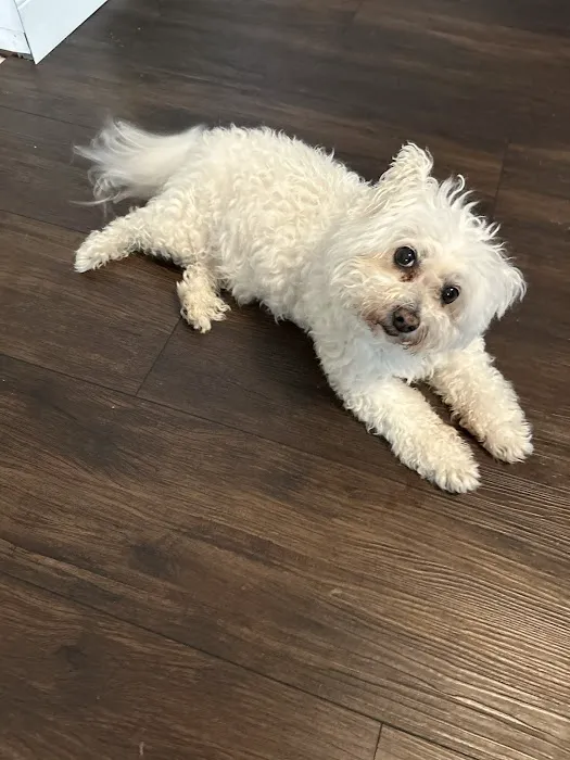 NorthStar VETS Picture 5