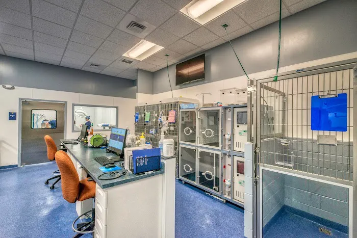 NorthStar VETS Picture 9