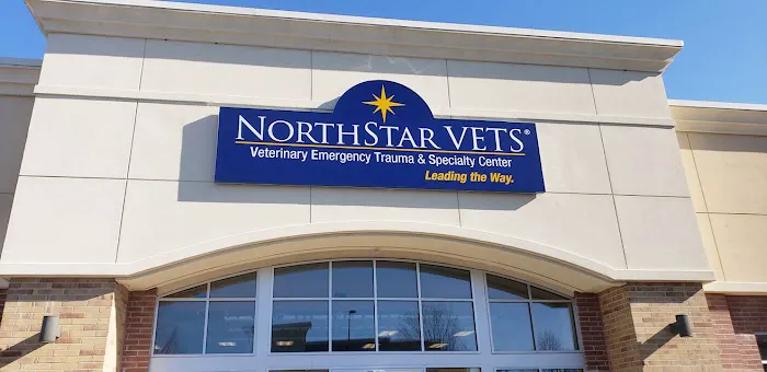 NorthStar VETS Picture 2