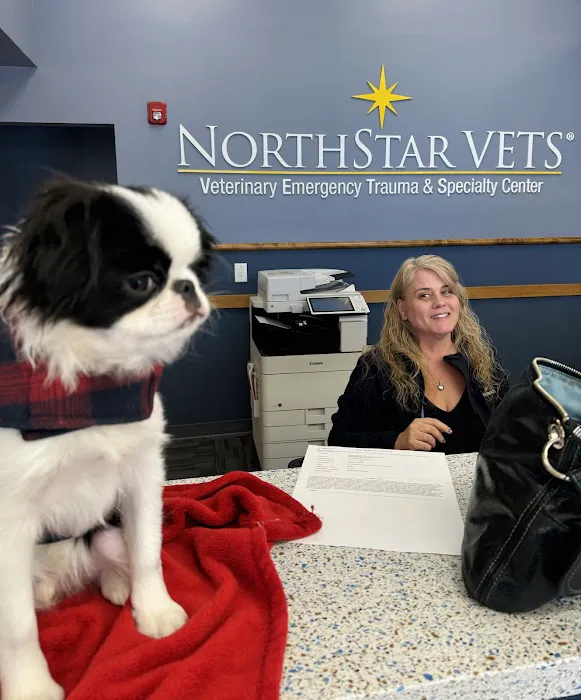 NorthStar VETS Picture 3