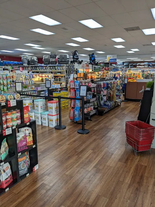 Pet Supermarket Picture 2