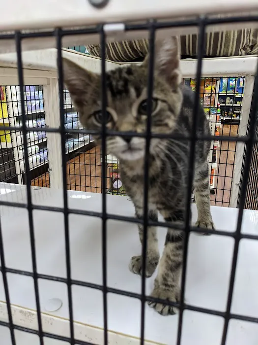 Pet Supermarket Picture 8