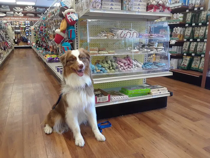 Pet Supermarket Picture 3