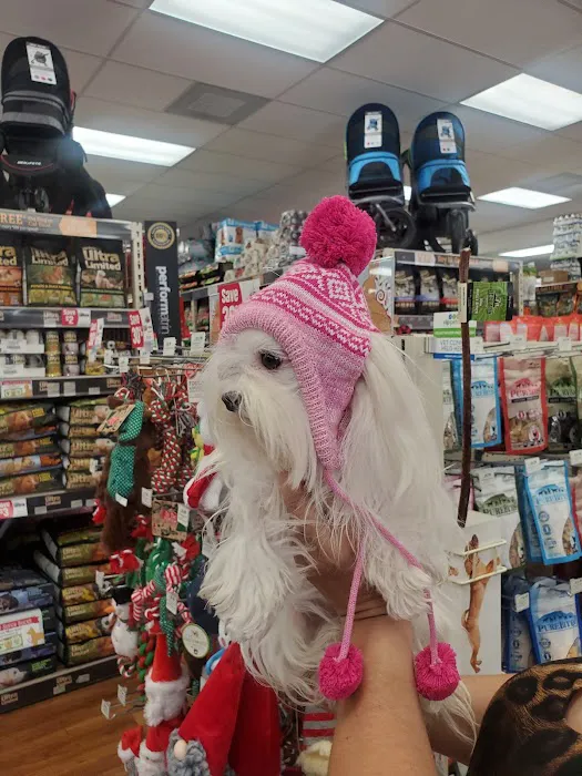 Pet Supermarket Picture 4