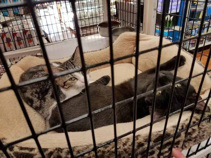 Pet Supermarket Picture 5