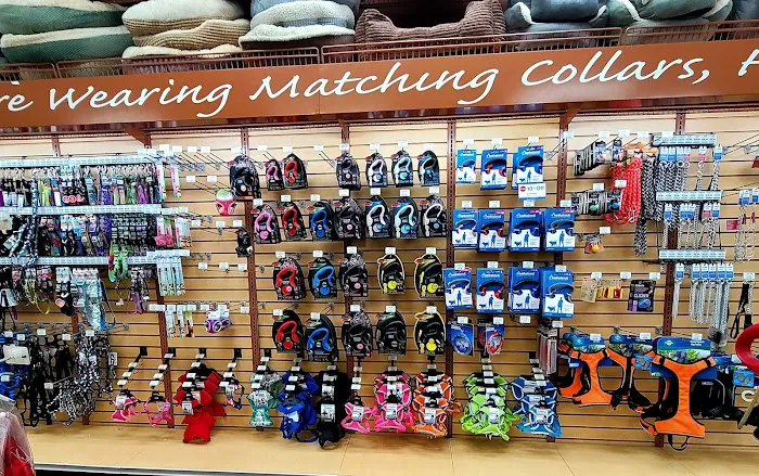 Pet Supermarket Picture 10