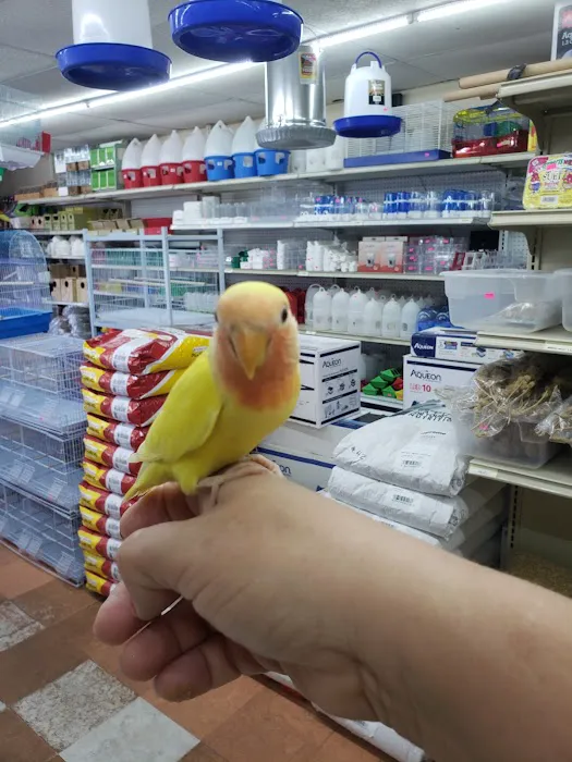 Gomez Pet Shop Picture 3