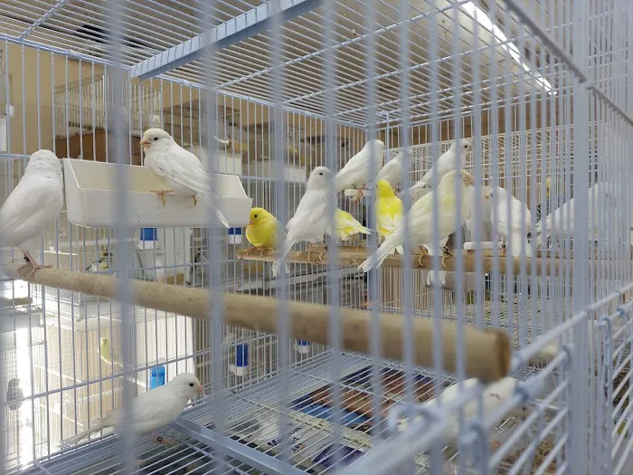 Gomez Pet Shop Picture 6