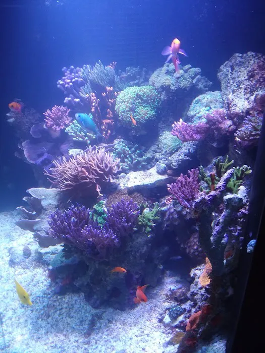 AGA Aquarium Service Picture 4