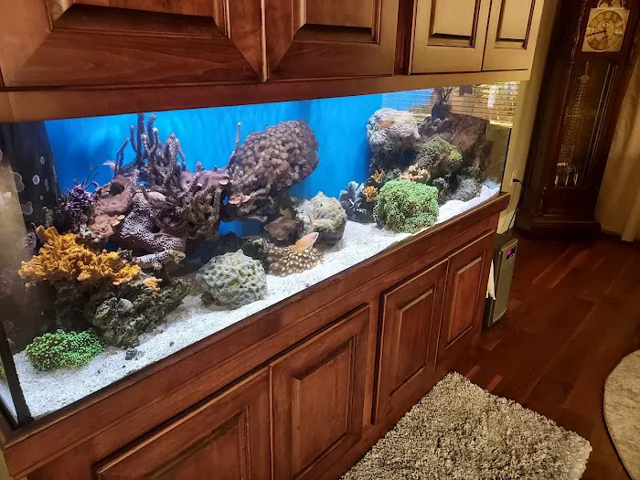 AGA Aquarium Service Picture 5